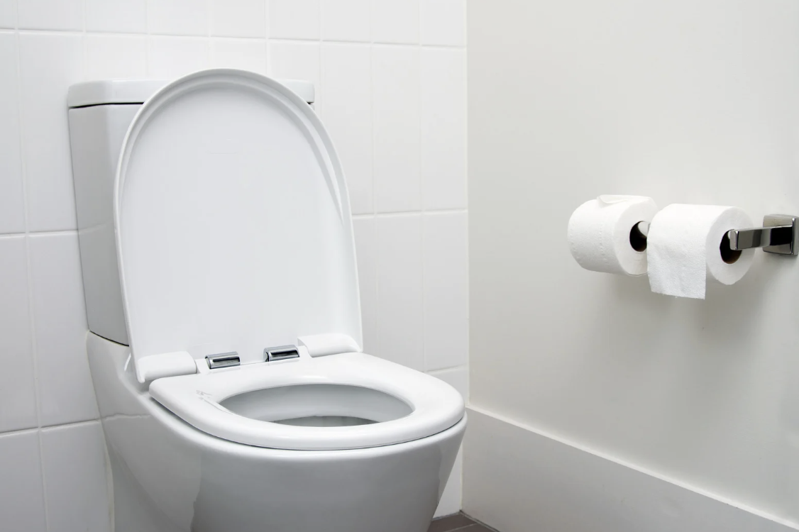 how to unclog a toilet